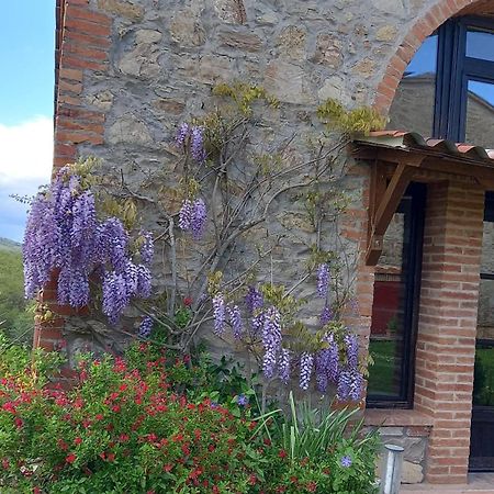 Podere Casalbosco - Idromassaggio E Panorama Rapolano Terme Exteriér fotografie