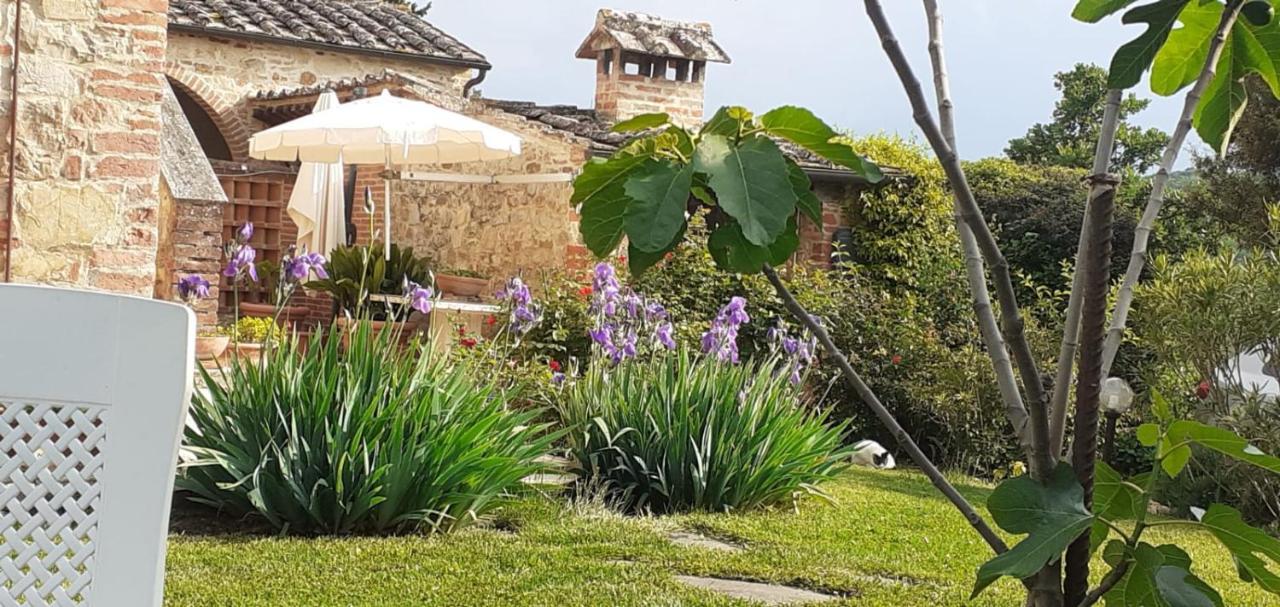 Podere Casalbosco - Idromassaggio E Panorama Rapolano Terme Exteriér fotografie